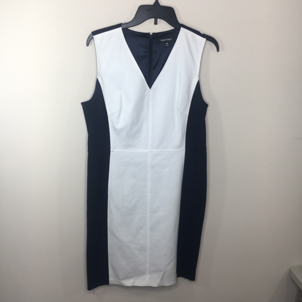 Ellen Tracy Dress Size 14p
